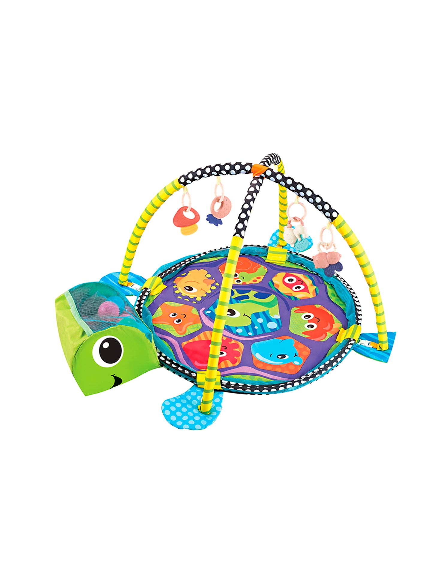 GIMNACIO Y PISCINA DE PELOTAS NIÑO